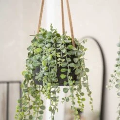 Patt Hanging Plant Pot - Black Washed 21 Patt Hanging Plant Pot - Black Washed -Greencore Store Patt Hanging Plant Pot Black Washed Trailing Houseplant