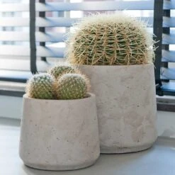 Patt Plant Pot - Grey Washed -Greencore Store Patt Plant Pot Grey Washed Cacti