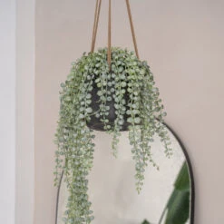 Patt Hanging Plant Pot - Black Washed 29 Patt Hanging Plant Pot - Black Washed -Greencore Store PattHangingPlantPot BlackWashed 3