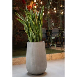 Patt High Plant Vase - Ridged Cement -Greencore Store PattHighPlantVase RidgedCement 5