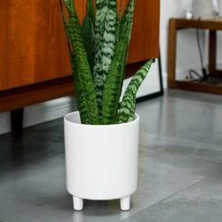 Pisa Plant Pot - White 15 Pisa Plant Pot - White -Greencore Store Pisa Plant Pot White 20 x 24cm
