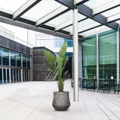 Polystone Coated Darcy Planter - Raw Grey 14 Polystone Coated Darcy Planter - Raw Grey -Greencore Store Polystone Coated Darcy Planter Raw Grey LS1