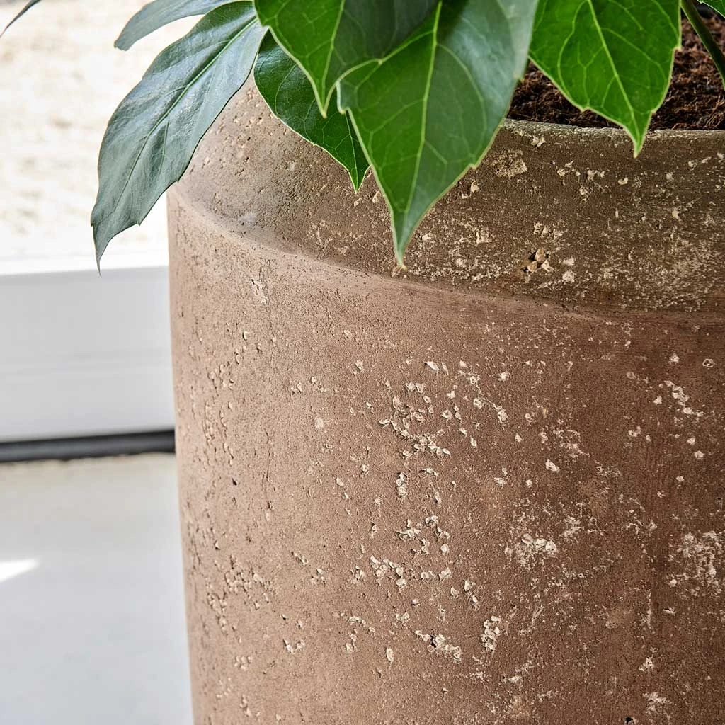 Polystone Coated Plain Coppa Planter - Rock 15 Polystone Coated Plain Coppa Planter - Rock - Image 13