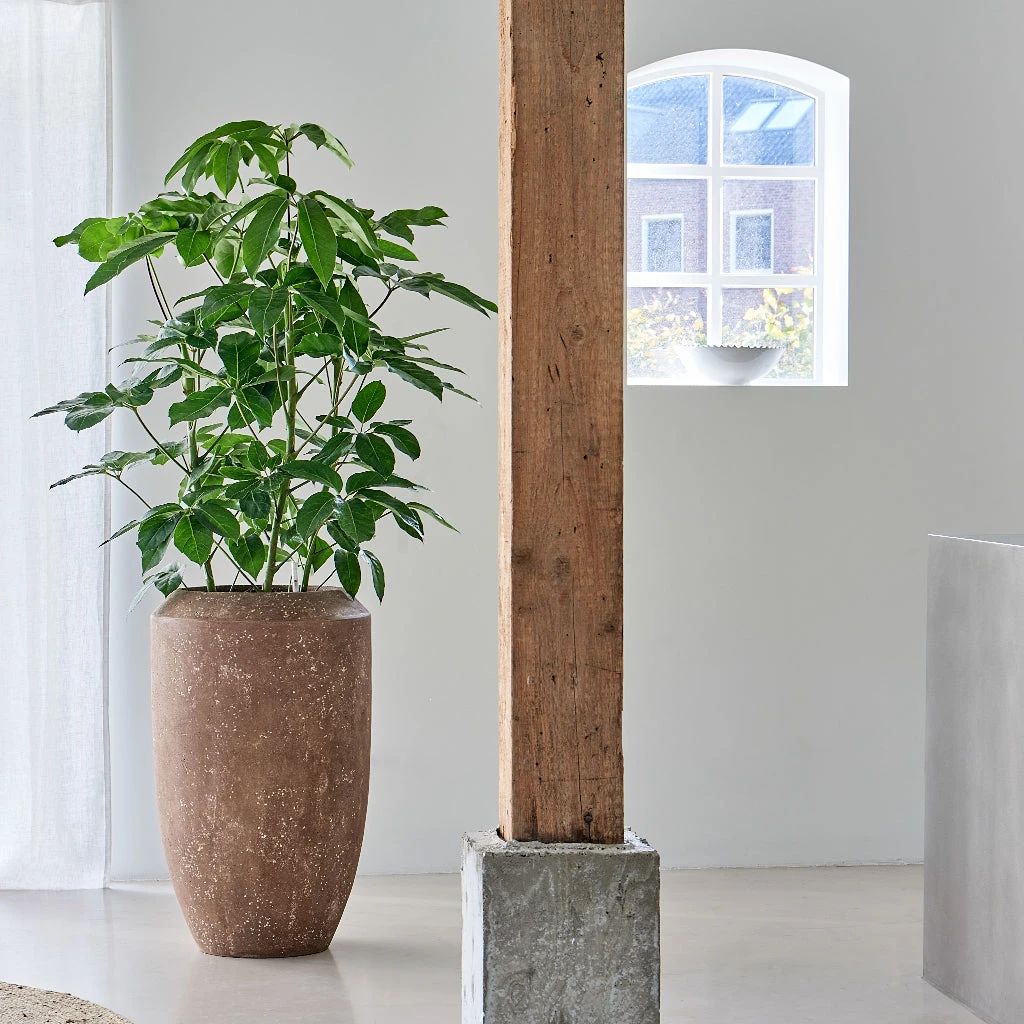 Polystone Coated Plain Coppa Planter - Rock 18 Polystone Coated Plain Coppa Planter - Rock - Image 16