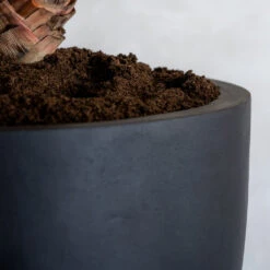 Jesslyn Natural Planter - Black 20 Jesslyn Natural Planter - Black -Greencore Store ProductsJesslynNaturalPlanter Black 2