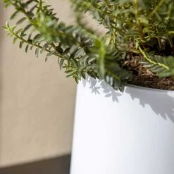 Puk Essentials Planter - Matt White -Greencore Store Puk Planter Matt White Close Up