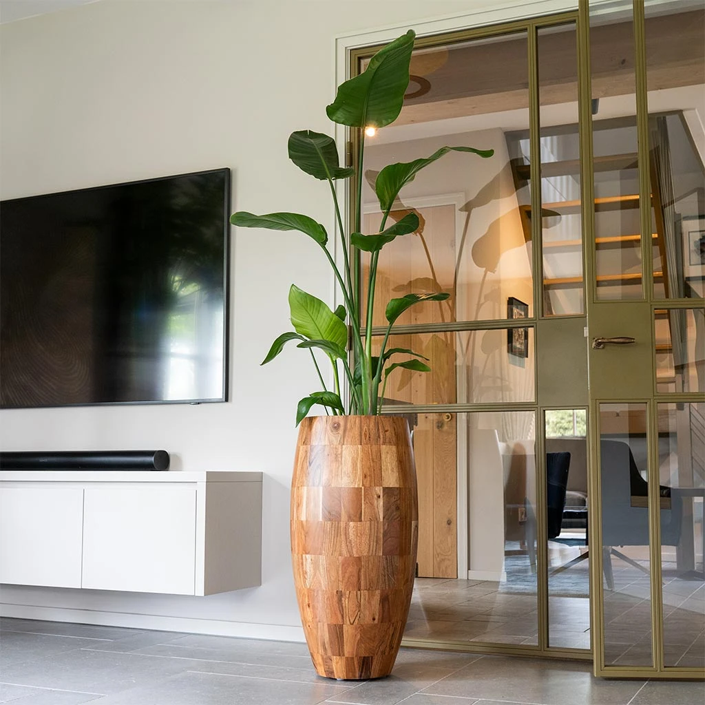 Quinn Tall Planter - Natural 4 Quinn Tall Planter - Natural - Image 2