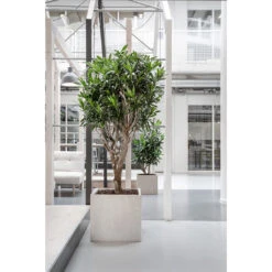 Raindrop Cube Planter - Stone -Greencore Store Raindrop Cube Planter Stone Lifestyle