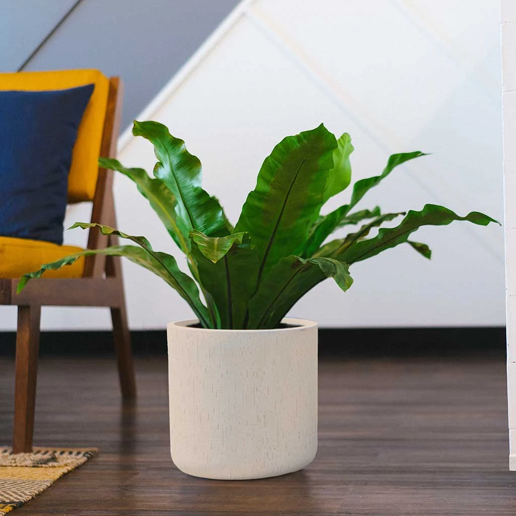 Raindrop Round Planter - Stone 6 Raindrop Round Planter - Stone - Image 4