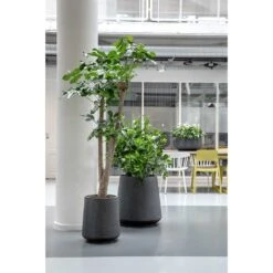 Raindrop Tube High Round Planter - Anthracite -Greencore Store Raindrop Tube High Round Planters Anthracite