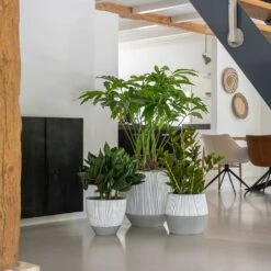 Harley Plant Pot - Ridged White Stripe -Greencore Store Ridged White Stripe Planters