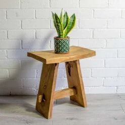 Sansevieria Trifasciata Futura Superba 25 Sansevieria Trifasciata Futura Superba -Greencore Store Sansevieria trifasciata Futura Superba liam turquoise plant pot natural