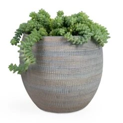 Dex Plant Pot - Earth -Greencore Store Sedum Burrito Donkey Tail 14x20cm Dex Plant Pot Earth 22x20cm