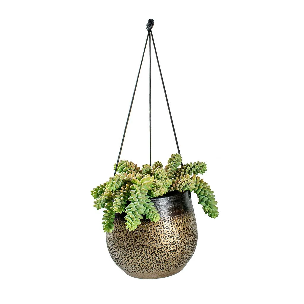 Mya Hanging Planter - Deep Champagne 5 Mya Hanging Planter - Deep Champagne - Image 3
