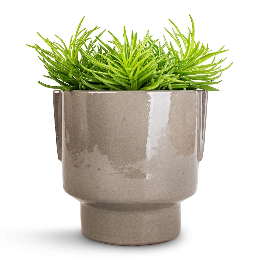 Aries Handles Plant Pot - Charcoal 10 Aries Handles Plant Pot - Charcoal - Image 8