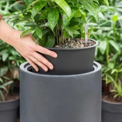Solid Cylinder Planter - Dark Grey -Greencore Store Solid Cylinder Planter Dark Grey 1