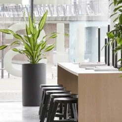 Solid Cylinder Planter - Dark Grey -Greencore Store Solid Cylinder Planter Dark Grey 3