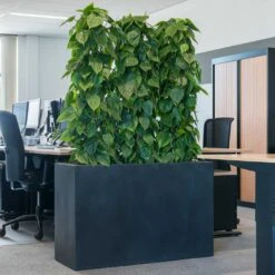 Solid Rectangle Planter - Dark Grey -Greencore Store Solid Rectangle Planter Dark Grey 1