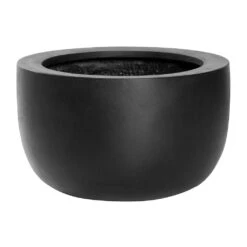 Sunny Natural Bowl Planter - Black -Greencore Store Sunny Natural Planter Black 33x20cm