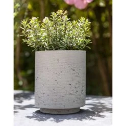 Suzi Plant Pot - Grey Washed -Greencore Store Suzi Plant Pot Grey Washed Outdoor Plant
