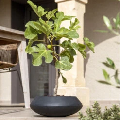Tara Natural Bowl Planter - Black -Greencore Store TaraNaturalPlanter Black 3