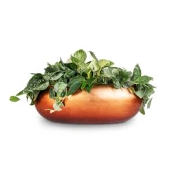 Metallic Boat Planter - Matt Copper -Greencore Store White Wonder Satin Pathos Metallic Boat Planter Matt Copper 56x23x20cm