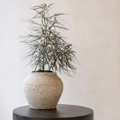 Zeus Mediterranean Planter - Chalk White 10 Zeus Mediterranean Planter - Chalk White -Greencore Store Zeus Mediterranean Planter Chalk White Lifestyle 2