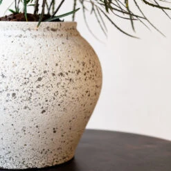 Zeus Mediterranean Planter - Chalk White 9 Zeus Mediterranean Planter - Chalk White -Greencore Store Zeus Mediterranean Planter Chalk White Lifestyle