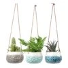 Baby Dotty Hanging Indoor Pot Trio -Greencore Store baby dotty hanging plant pots trio