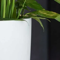 Ben Essentials Planter - Matt White -Greencore Store ben indoor planter essential matte white close up