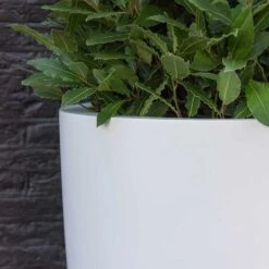 Ben Essentials Planter - Matt White -Greencore Store ben planter essential matte white close up