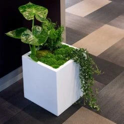 Block Essentials Planter - Matt White -Greencore Store block planter essential matte white indoor plants cube