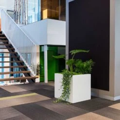Block Essentials Planter - Matt White -Greencore Store block planter essential matte white office stairwell