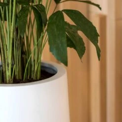 Nax Essentials Tall Planter - Matt White -Greencore Store nax planter essential matte white edge