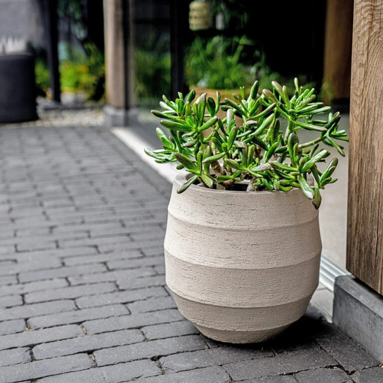 Greencore Store -Greencore Store Luca Lifestyle Bordo Balloon Sand 1 768x768 1